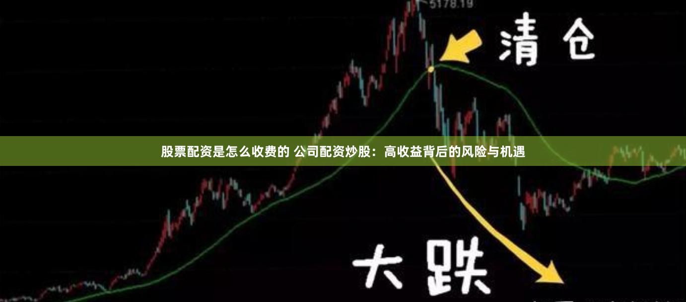 股票配资是怎么收费的 公司配资炒股：高收益背后的风险与机遇