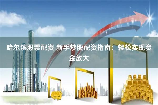 哈尔滨股票配资 新手炒股配资指南：轻松实现资金放大