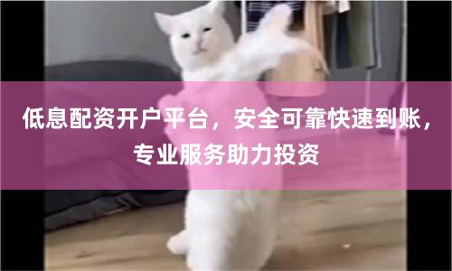 低息配资开户平台，安全可靠快速到账，专业服务助力投资